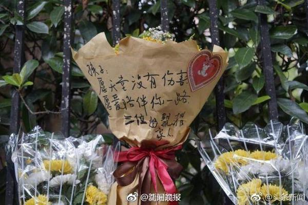 泰山队一天两练，洛佩斯融入球队参加训练